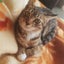 陽子のサムネイル