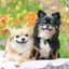 malon&tiareのサムネイル