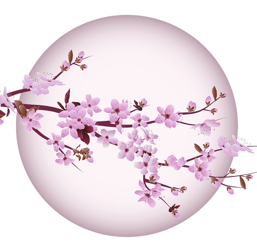 oisii-fujinokuni