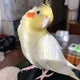 ミカリンのおすすめのサムネイル