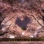 serendipityのサムネイル