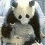 藤次郎のサムネイル