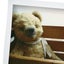 tina*fulのサムネイル