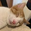 のんびり日和見のサムネイル