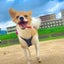 crazyぱぴよんムクのサムネイル