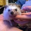 ともてぃーやのサムネイル