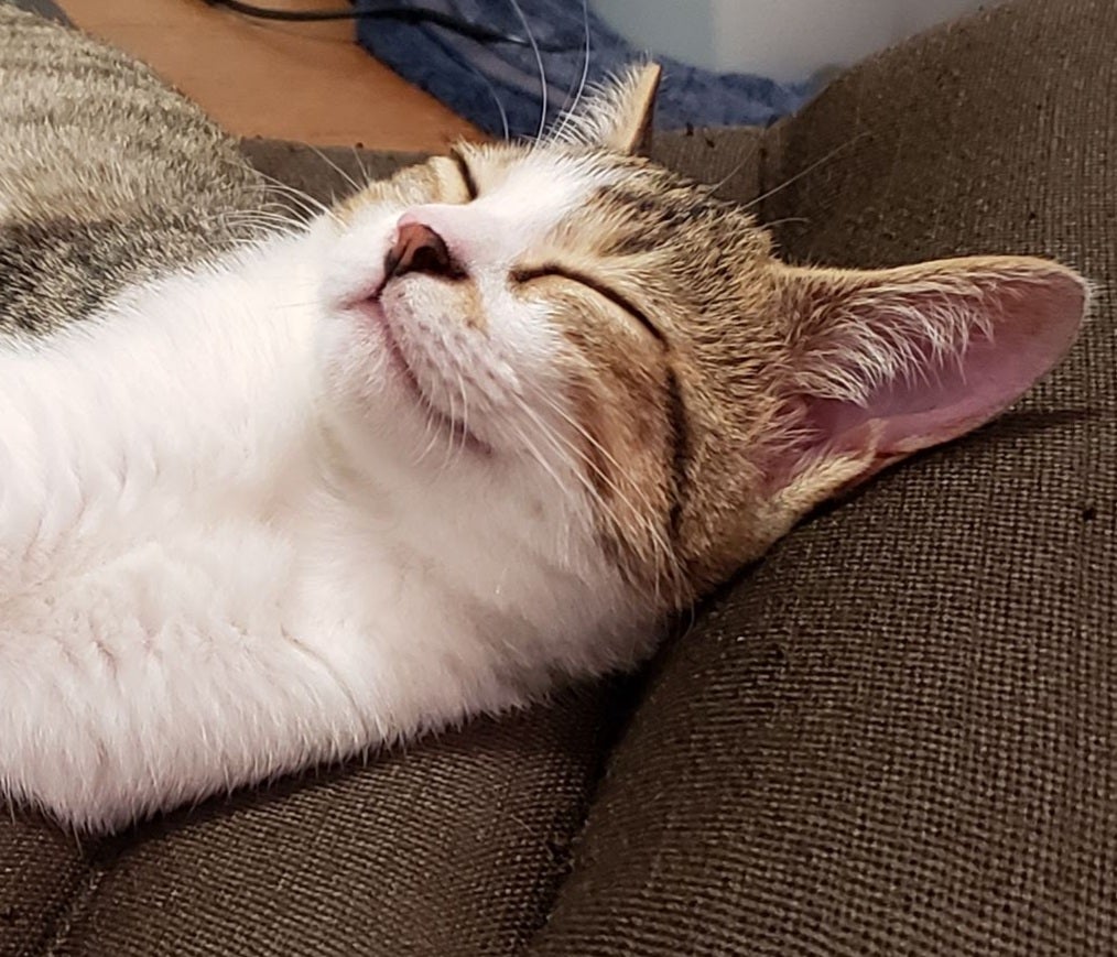 くぼようこ