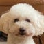 ハローのサムネイル