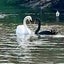 気ままにワイフ♪のサムネイル