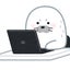 シマシマのサムネイル