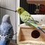 たののサムネイル