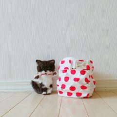 布おむつ本舗店長のプロフィール