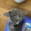 ramuneのサムネイル