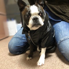 チ ッ チのプロフィール