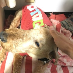FASのプロフィール