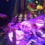 りーこのサムネイル