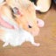 ひろぽんのサムネイル