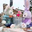 さぁやのサムネイル