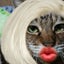画像 猫のしもべ　めーのブログのユーザープロフィール画像