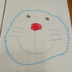 よぴこのプロフィール