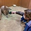 羅夢のサムネイル