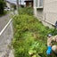 草むしりっこのサムネイル