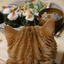 さくぱんのサムネイル
