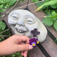 よれこのプロフィール