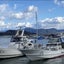 画像 遊漁船　清太郎&Seitaroのブログのユーザープロフィール画像