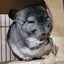 はるたろうのサムネイル
