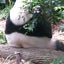 紫織のサムネイル