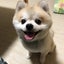reo1002のサムネイル