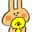 みーこのサムネイル
