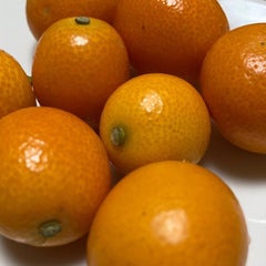 きんかんのプロフィール