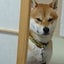 都富 恵のサムネイル