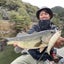 ブレガスのサムネイル
