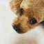 KANoのサムネイル