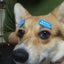 memoria12のサムネイル