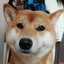 藍色兎のサムネイル
