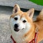 tukikoのサムネイル