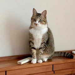 はなっちのプロフィール