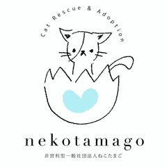 ねこたまごのプロフィール
