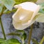 pocopocota2005のサムネイル