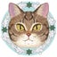 きょこくろのサムネイル