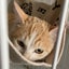 まっちゃんのサムネイル