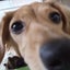 みるままのサムネイル