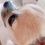 kuu-chanのサムネイル