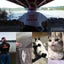 画像 キノピーの釣りと猫の世間話のユーザープロフィール画像