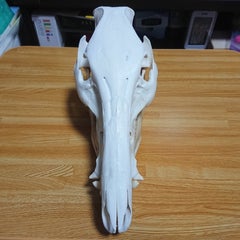 真空色のプロフィール