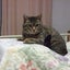 純子のサムネイル